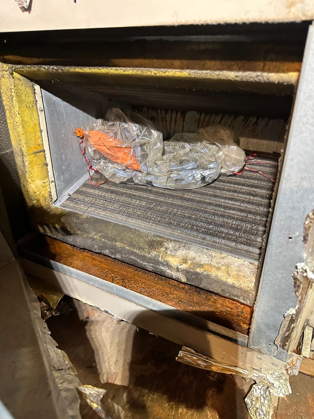 Technician inspecting AC coil with debris