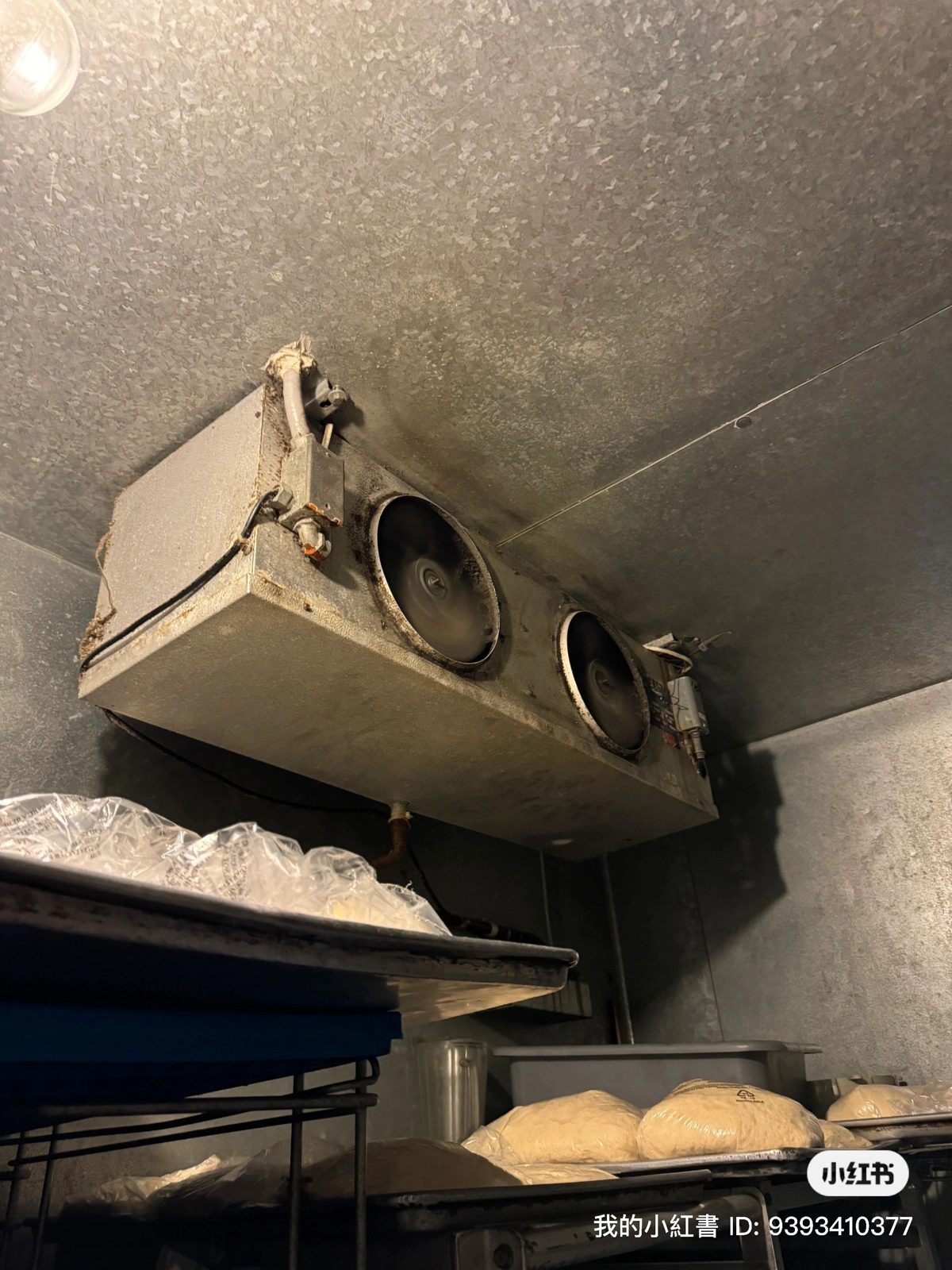 HVAC technician performing walk-in cooler repair at pizza restaurant