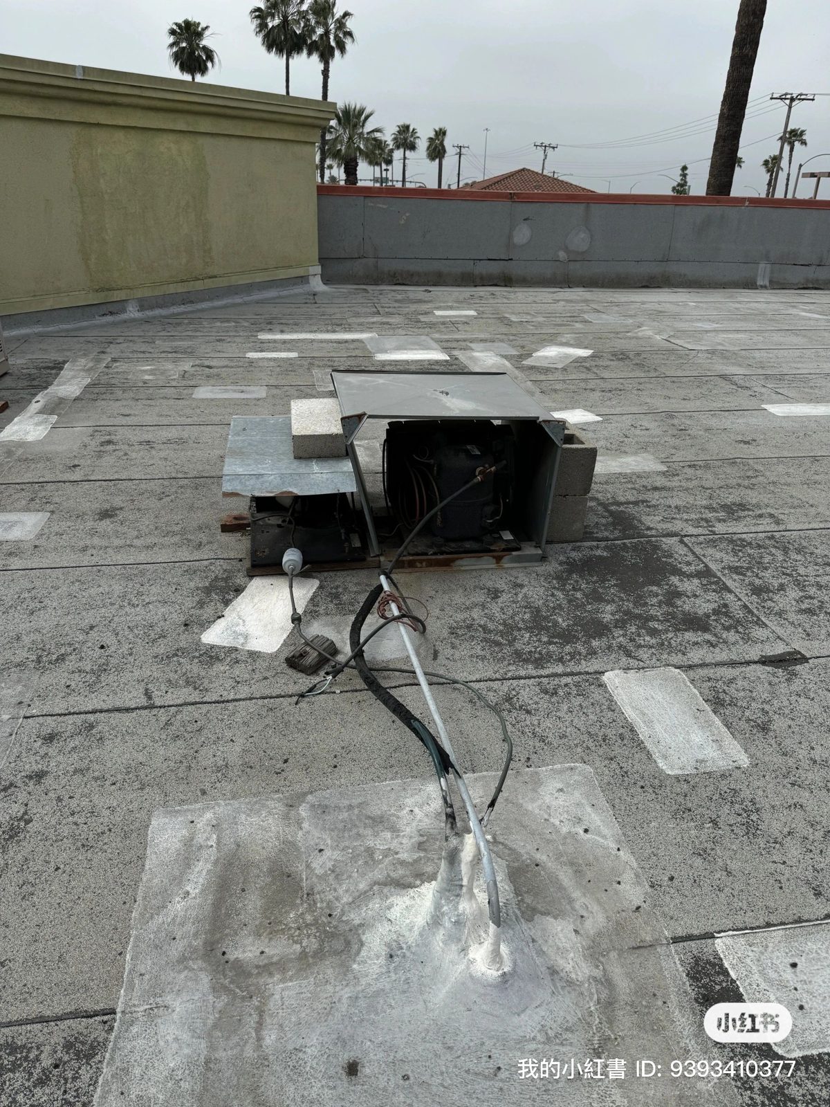 Walk-In Cooler Repair for Pizza Restaurant photo