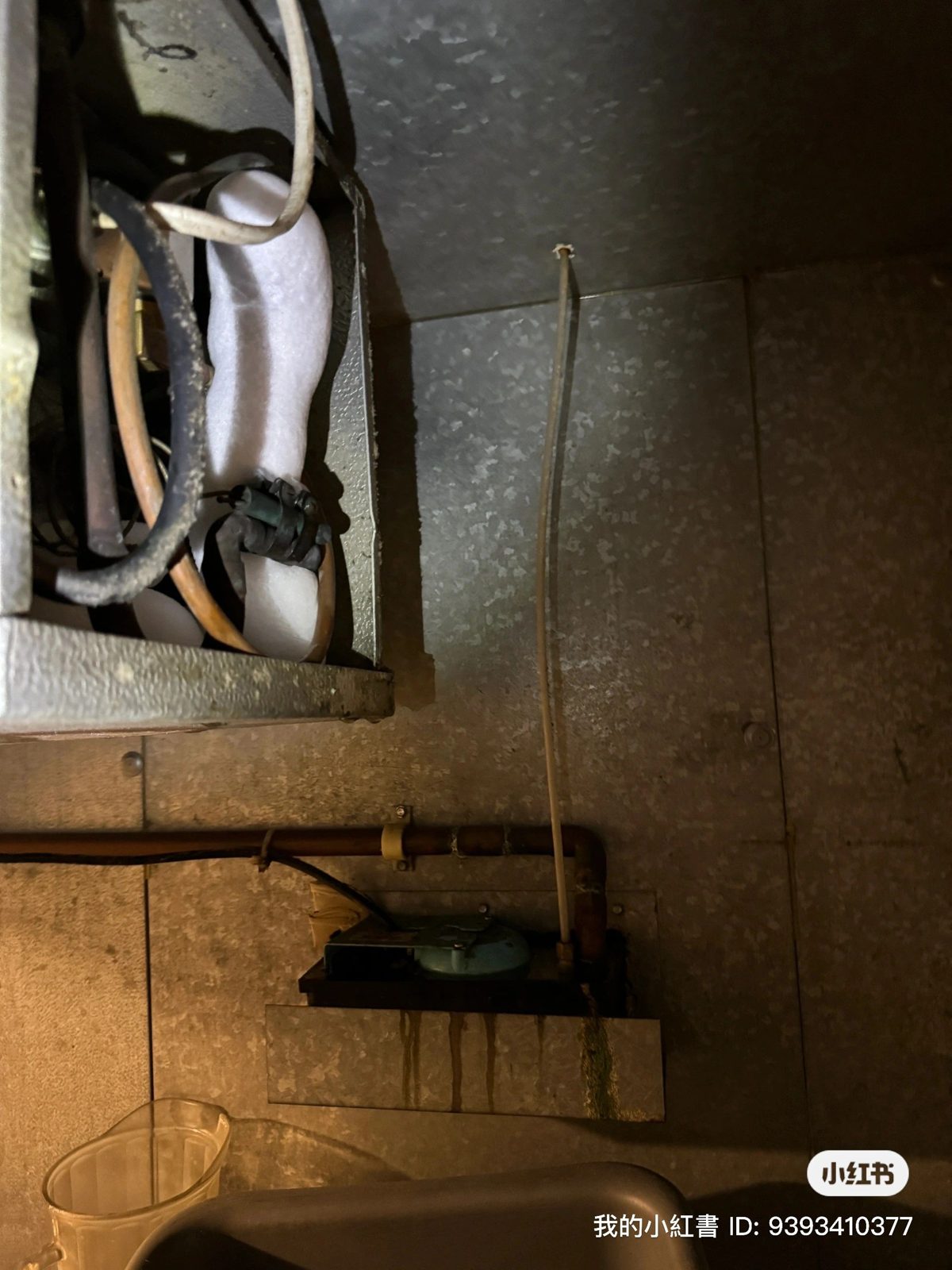 Walk-In Cooler Repair for Pizza Restaurant photo